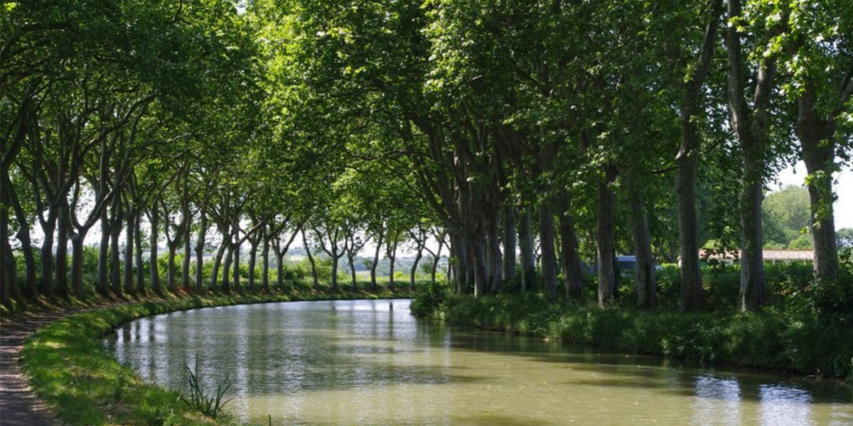 Le Canal du Midi